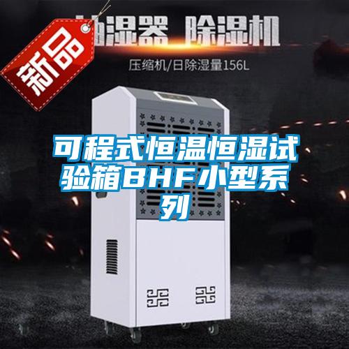 可程式恒温恒湿试验箱BHF小型系列