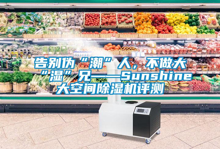 告别伪“潮”人，不做大“湿”兄——Sunshine大空间除湿机评测
