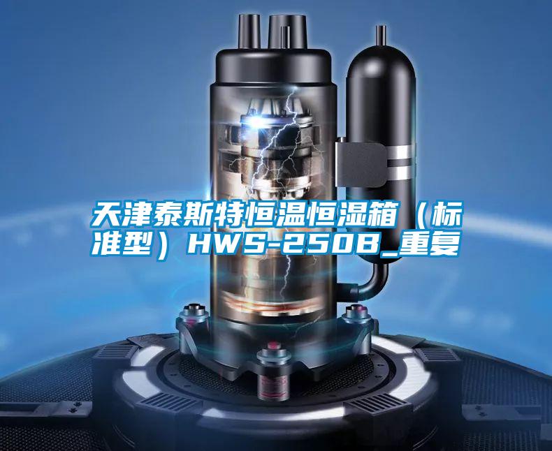 天津泰斯特恒温恒湿箱(标准型)HWS-250B_重复