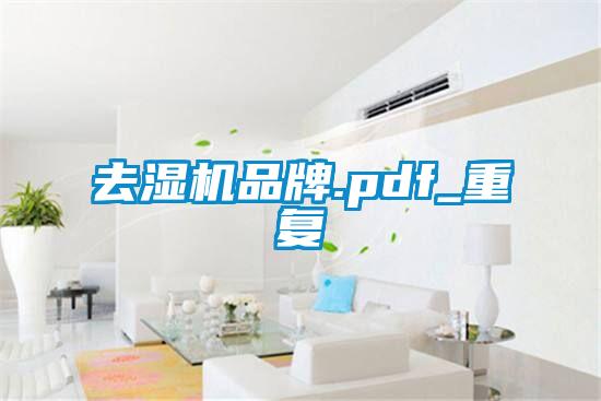 去湿机品牌.pdf_重复