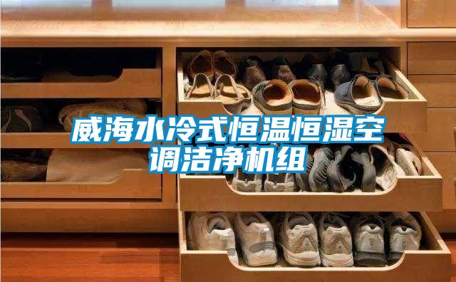 威海水冷式恒温恒湿空调洁净机组