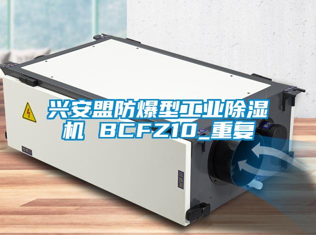兴安盟防爆型工业除湿机 BCFZ10_重复