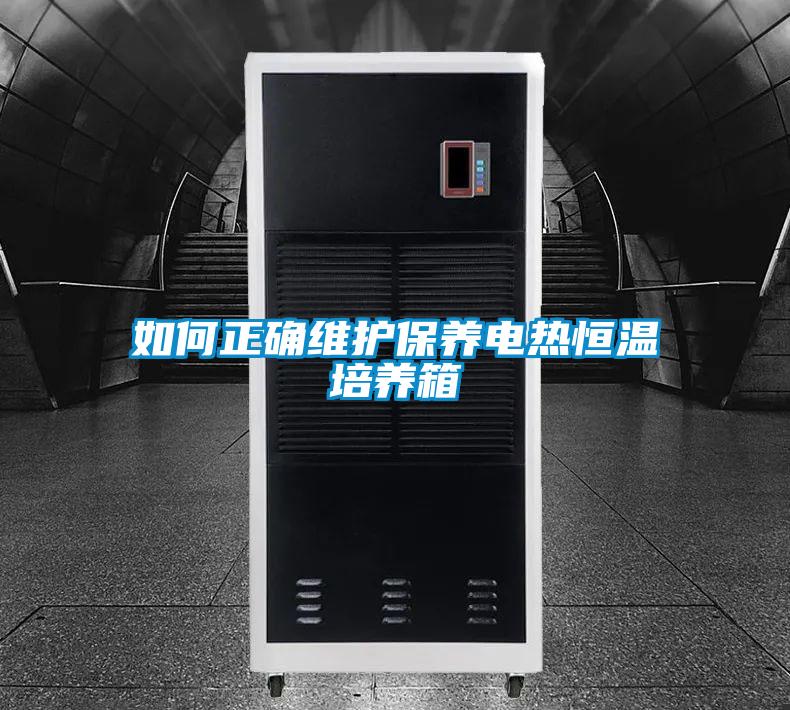 如何正确维护保养电热恒温培养箱