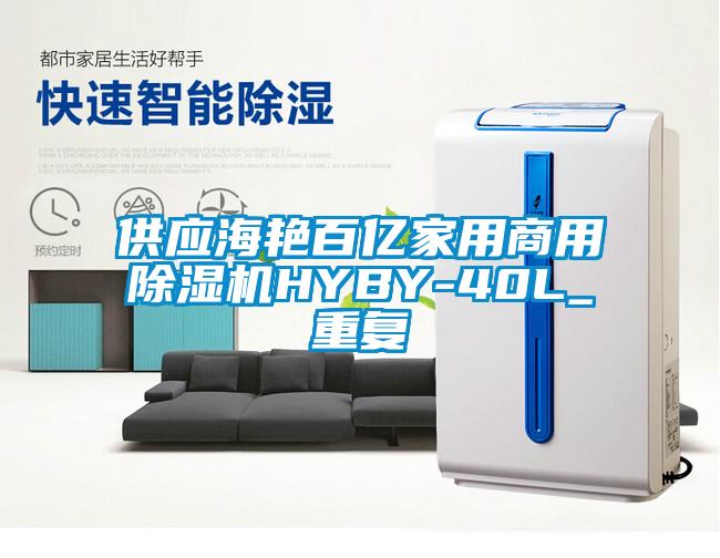 供应海艳百亿家用商用除湿机HYBY-40L_重复