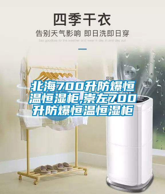 北海700升防爆恒温恒湿柜,崇左700升防爆恒温恒湿柜