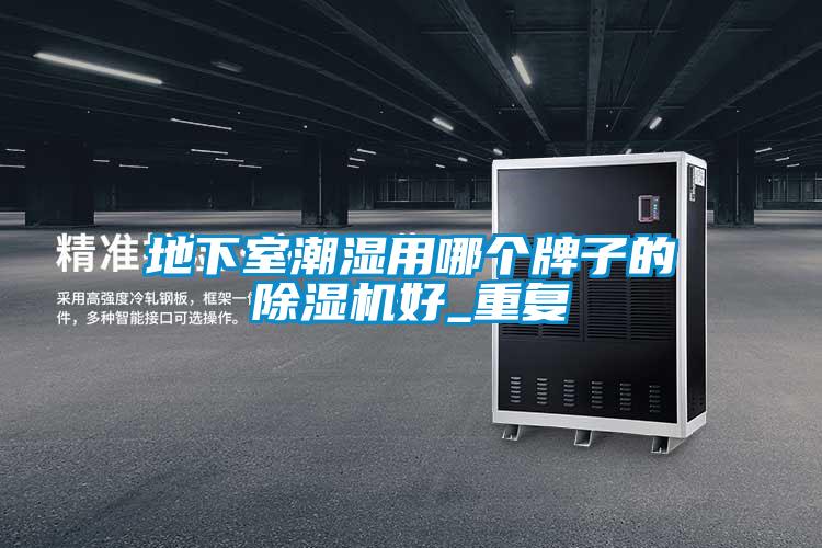 地下室潮湿用哪个牌子的除湿机好_重复