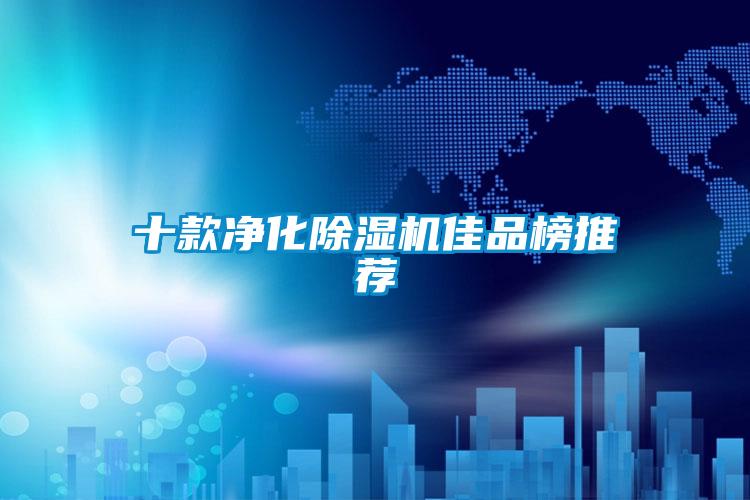十款净化除湿机佳品榜推荐