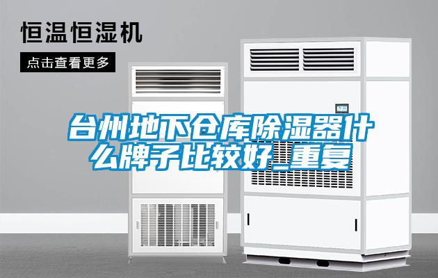 台州地下仓库除湿器什么牌子比较好_重复
