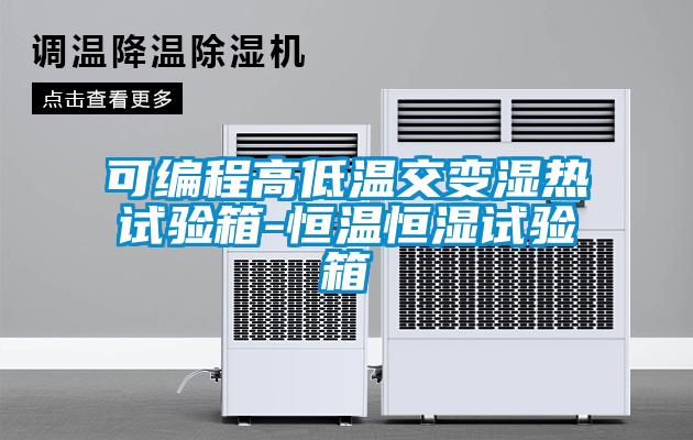 可编程高低温交变湿热试验箱-恒温恒湿试验箱
