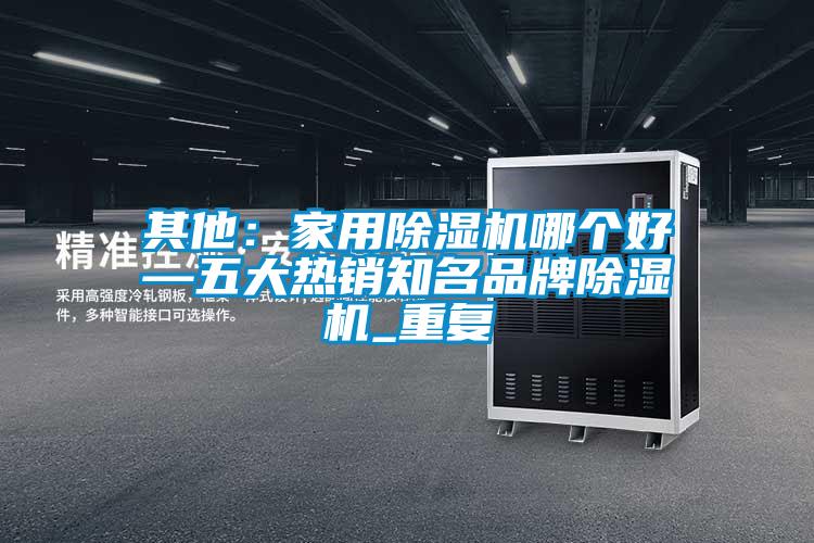 其他：家用除湿机哪个好—五大热销知名品牌除湿机_重复