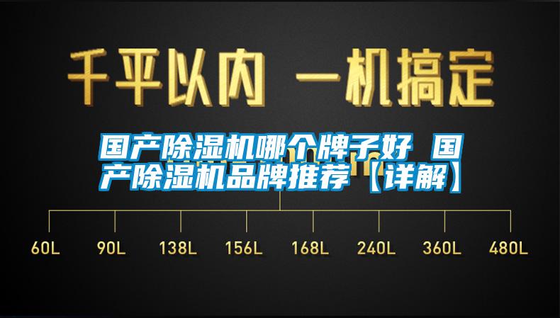 国产除湿机哪个牌子好 国产除湿机品牌推荐【详解】