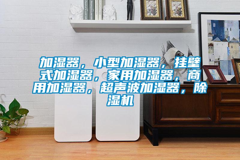 加湿器，小型加湿器，挂壁式加湿器，家用加湿器，商用加湿器，超声波加湿器，除湿机