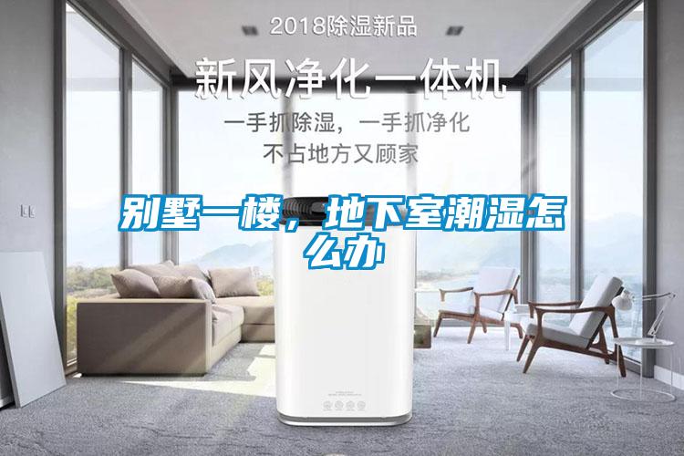 别墅一楼，地下室潮湿怎么办