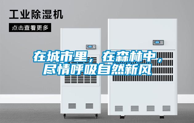 在城市里,在森林中,尽情呼吸自然新风