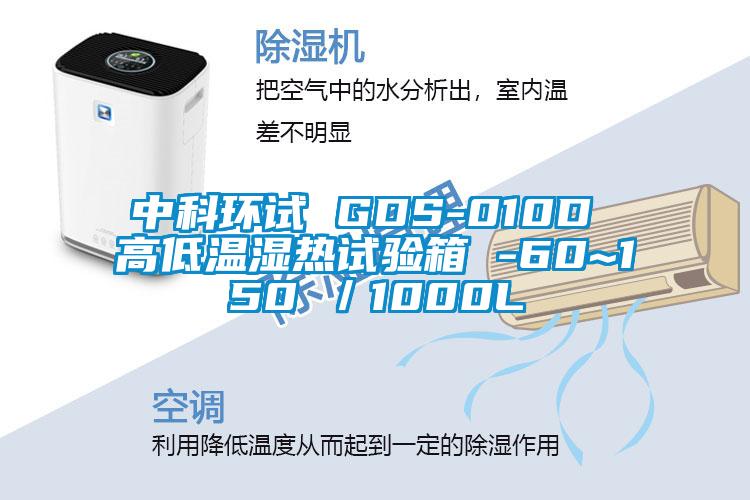 中科环试 GDS-010D 高低温湿热试验箱 -60~150℃/1000L