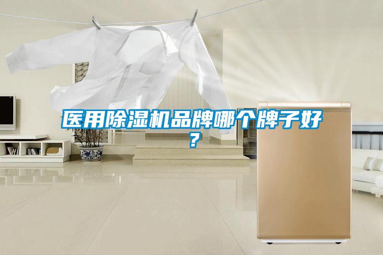 医用除湿机品牌哪个牌子好？