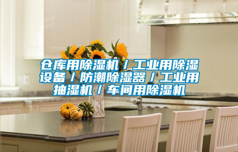 仓库用除湿机/工业用除湿设备/防潮除湿器/工业用抽湿机/车间用除湿机