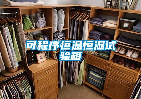 可程序恒温恒湿试验箱