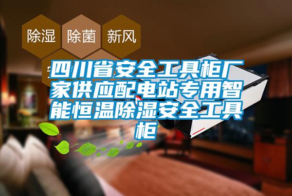 四川省安全工具柜厂家供应配电站专用智能恒温除湿安全工具柜