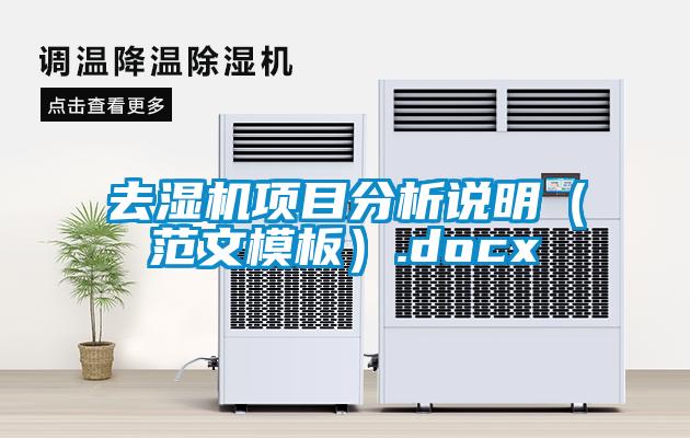 去湿机项目分析说明（范文模板）.docx