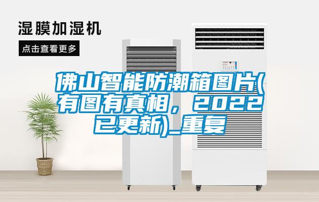 佛山智能防潮箱图片(有图有真相，2022已更新)_重复