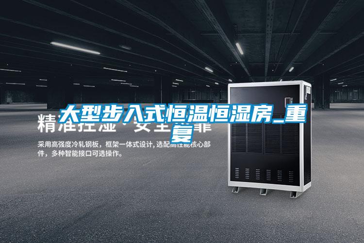 大型步入式恒温恒湿房_重复