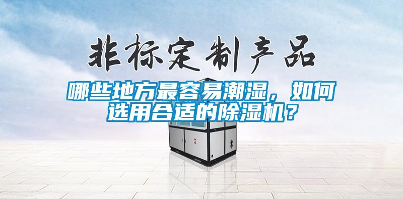哪些地方最容易潮湿，如何选用合适的除湿机？