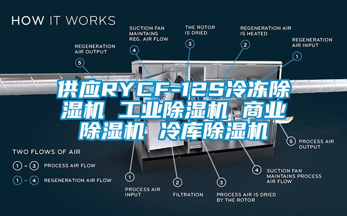 供应RYCF-12S冷冻除湿机 工业除湿机 商业除湿机 冷库除湿机