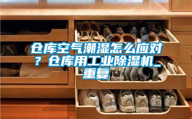 仓库空气潮湿怎么应对？仓库用工业除湿机_重复