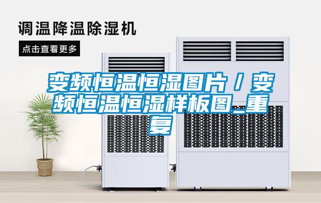变频恒温恒湿图片／变频恒温恒湿样板图_重复