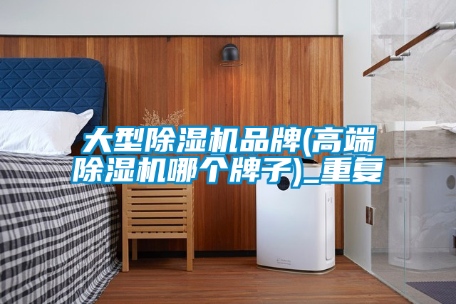 大型除湿机品牌(高端除湿机哪个牌子)_重复
