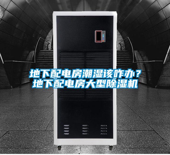 地下配电房潮湿该咋办？地下配电房大型除湿机
