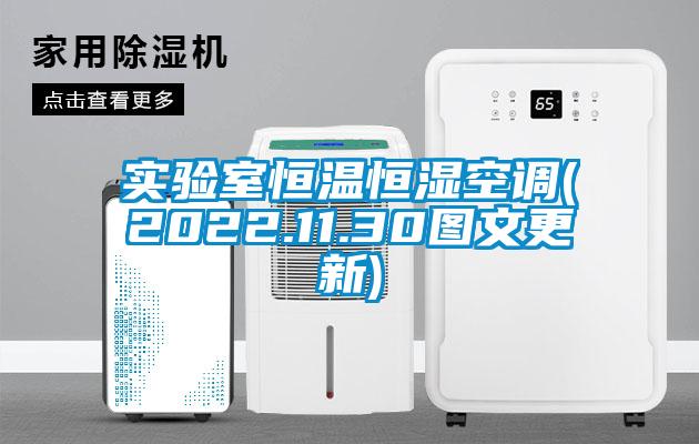 实验室恒温恒湿空调(2022.11.30图文更新)