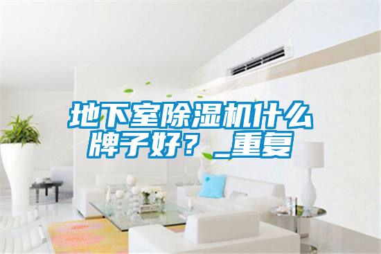 地下室除湿机什么牌子好?_重复