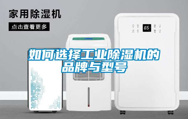 如何选择工业除湿机的品牌与型号