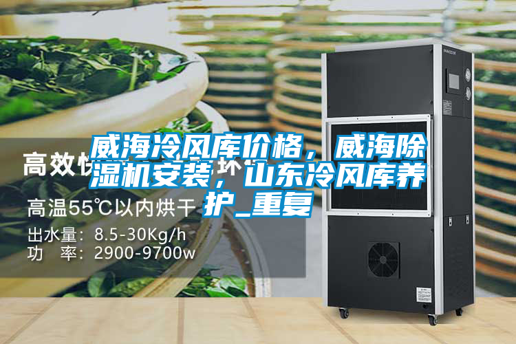 威海冷风库价格，威海除湿机安装，山东冷风库养护_重复