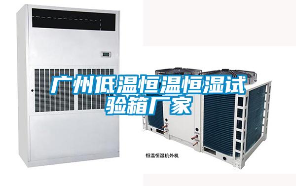 广州低温恒温恒湿试验箱厂家