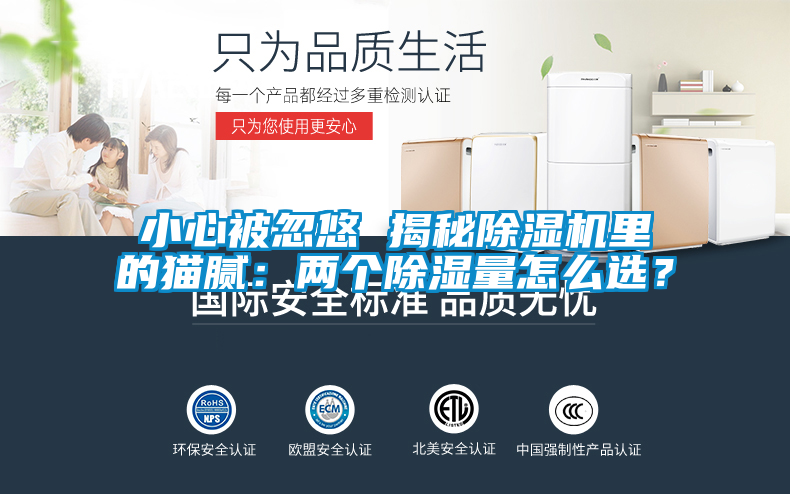 小心被忽悠 揭秘除湿机里的猫腻:两个除湿量怎么选?