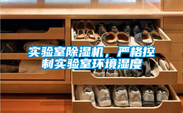 实验室除湿机,严格控制实验室环境湿度
