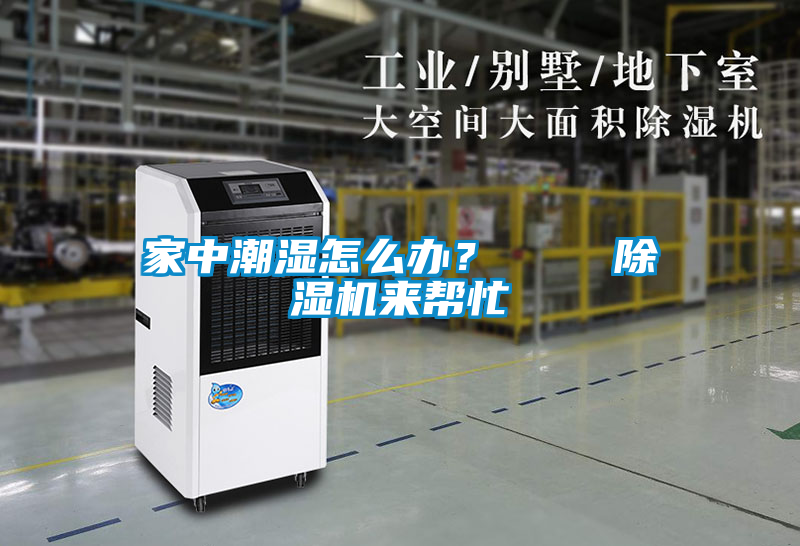 家中潮湿怎么办？    除湿机来帮忙