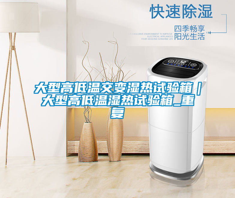 大型高低温交变湿热试验箱|大型高低温湿热试验箱_重复