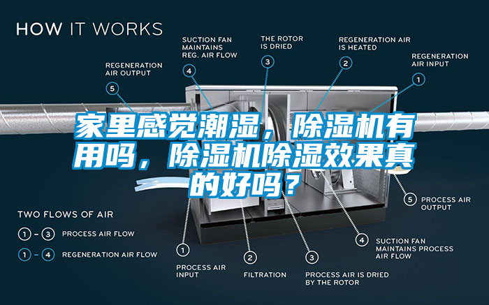 家里感觉潮湿，除湿机有用吗，除湿机除湿效果真的好吗？