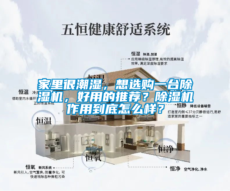 家里很潮湿，想选购一台除湿机，好用的推荐？除湿机作用到底怎么样？