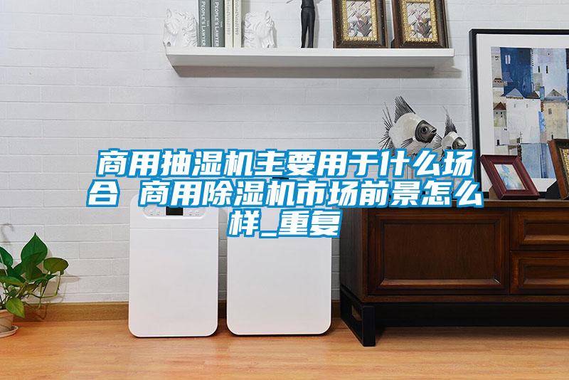 商用抽湿机主要用于什么场合 商用除湿机市场前景怎么样_重复