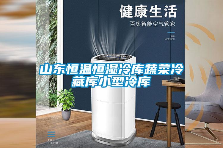 山东恒温恒湿冷库蔬菜冷藏库小型冷库