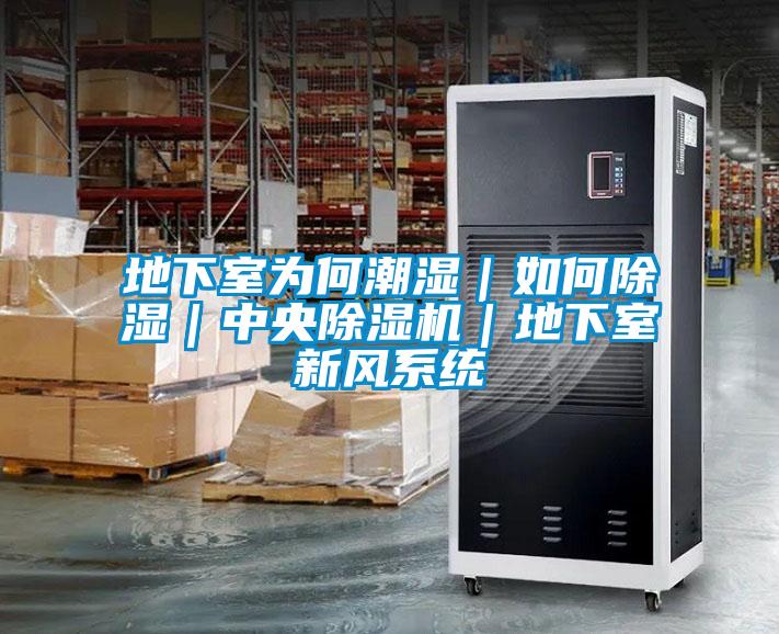 地下室为何潮湿|如何除湿|中央除湿机|地下室新风系统