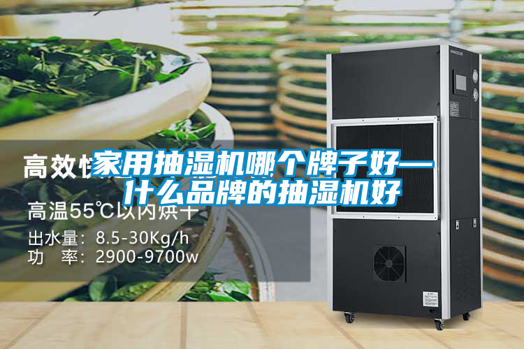 家用抽湿机哪个牌子好—什么品牌的抽湿机好