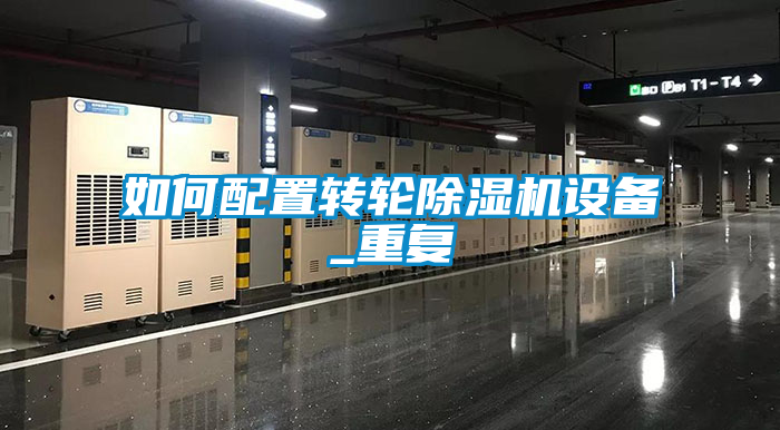 如何配置转轮除湿机设备_重复