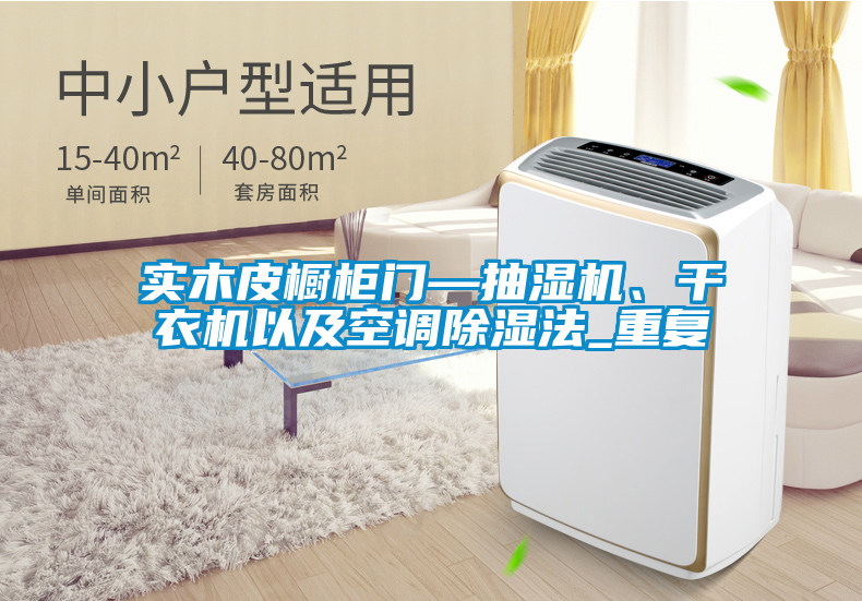 实木皮橱柜门—抽湿机、干衣机以及空调除湿法_重复