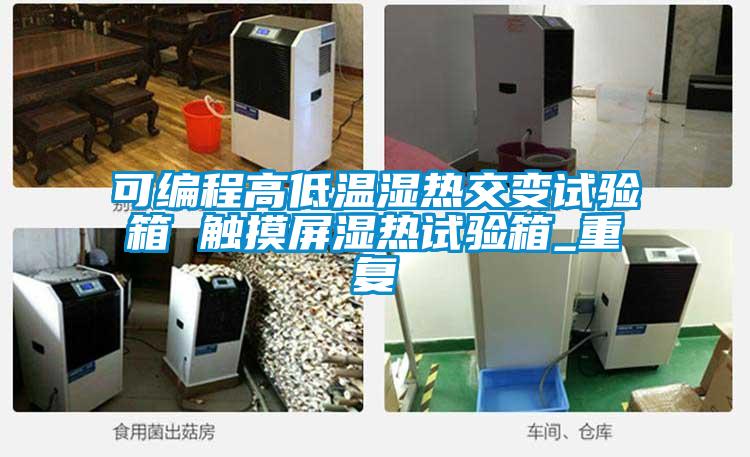 可编程高低温湿热交变试验箱 触摸屏湿热试验箱_重复